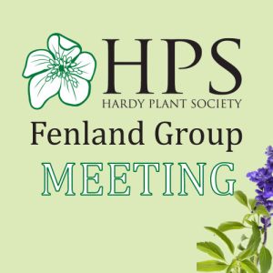 Hps Meeting