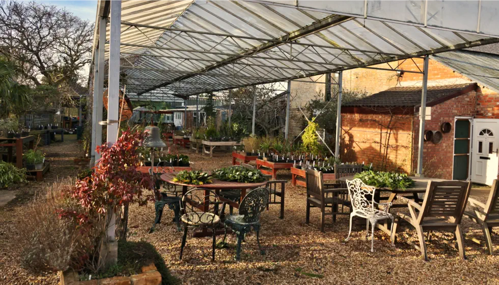 Plant Nursery Plant Display