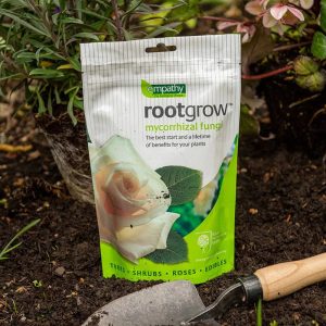 Rhs Rootgrow Plant Treatment